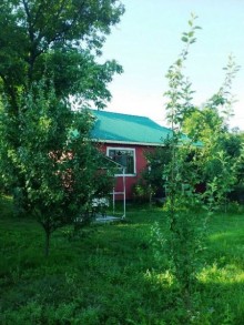 Satılır Həyət evi, Qəbələ.ş-7