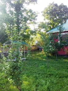 Satılır Həyət evi, Qəbələ.ş-8