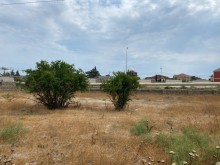 Satılır Torpaq, Xəzər.r, Mərdəkan, Koroğlu.m-1