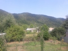 Satılır Həyət evi, Qəbələ.ş-3