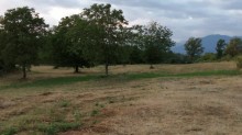 Satılır Torpaq, Qəbələ.ş-3