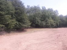 Satılır Torpaq, Qəbələ.ş-9