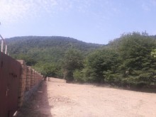 Satılır Torpaq, Qəbələ.ş-15