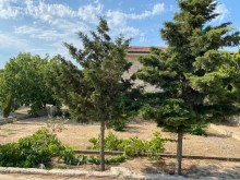 Satılır Torpaq, Sabunçu.r, Bilgəh, Koroğlu.m-1