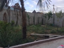 şağan villa bağ evi elanları, -3