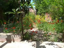 sixovda ev villa satisi, -16
