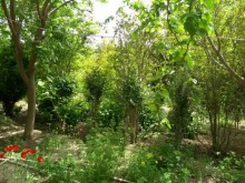 sixovda ev villa satisi, -19