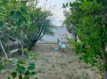 Satılır Həyət evi, Xəzər.r, Mərdəkan-14