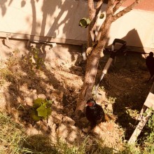 Satılır Həyət evi, Sabunçu.r, Ramana-18