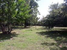Satılır Torpaq, Qəbələ.ş-6