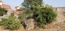 Satılır Həyət evi, Xəzər.r, Buzovna-9