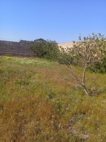 Satılır Həyət evi, Sabunçu.r-5