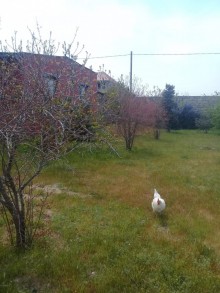 Satılır Həyət evi, Sabunçu.r-10