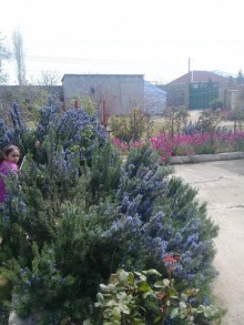 Satılır Həyət evi, Sabunçu.r-13