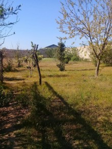 Satılır Həyət evi, Sabunçu.r-18
