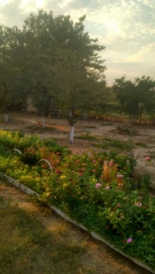Satılır Həyət evi, Abşeron.r, Novxanı-3