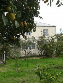 Satılır Həyət evi, Abşeron.r, Novxanı-6