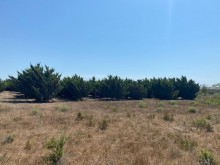 Satılır Torpaq, Xəzər.r, Şüvəlan, Koroğlu.m-1