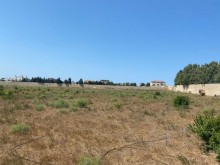 Satılır Torpaq, Xəzər.r, Şüvəlan, Koroğlu.m-7
