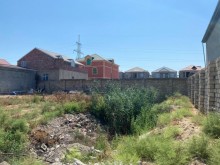 torpaq sahəsi buzovna, -3