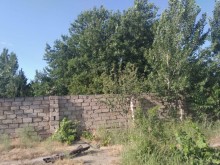 torpaq sahələri buzovna, -1