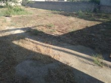 torpaq sahələri buzovna, -3