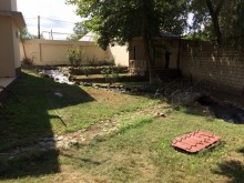 Satılır Həyət evi, Nabran.ş-8