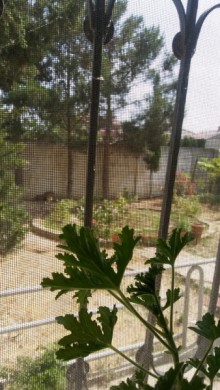 fatmai heyet evi qiymetleri, -3