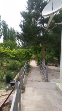 fatmai heyet evi qiymetleri, -19