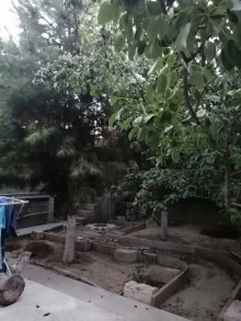şağanda təcili satılan evlər, -13