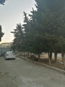 Şağanda təmirli həyət evləri, -4