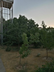 Şağanda təmirli həyət evləri, -5