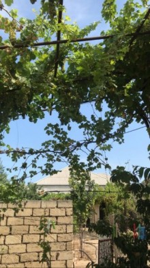 Satılır Həyət evi, Sumqayıt.ş-1
