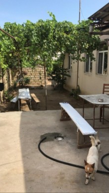 Satılır Həyət evi, Sumqayıt.ş-2