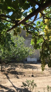 Satılır Həyət evi, Sumqayıt.ş-7