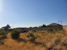 buzovna torpaq sahələri, -3