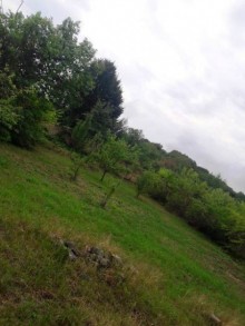 Satılır Torpaq, Qəbələ.ş-4