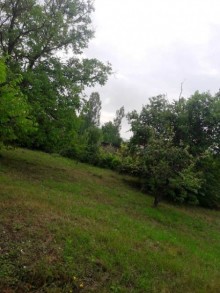 Satılır Torpaq, Qəbələ.ş-7