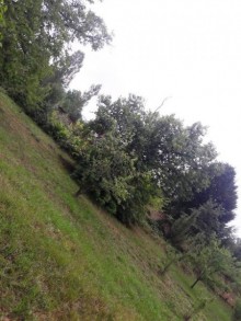 Satılır Torpaq, Qəbələ.ş-13