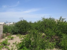 Satılır Torpaq, Sumqayıt.ş-2