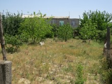 Satılır Torpaq, Sumqayıt.ş-4