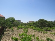 Satılır Torpaq, Sumqayıt.ş-6