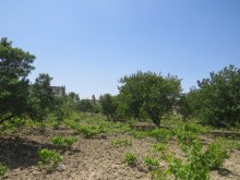 Satılır Torpaq, Sumqayıt.ş-7