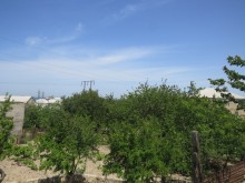 Satılır Torpaq, Sumqayıt.ş-10