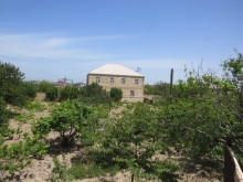 Satılır Torpaq, Sumqayıt.ş-11