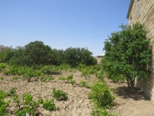 Satılır Torpaq, Sumqayıt.ş-13
