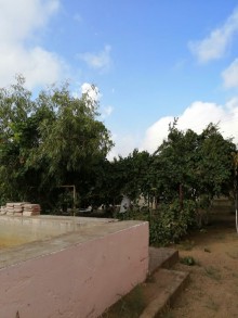 Şağanda həyət evi almaq, -6