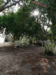 Şağanda həyət evi almaq, -9
