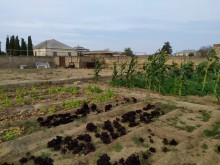Satılır Torpaq, Sabunçu.r, Bilgəh, Koroğlu.m-3