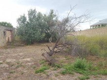 Satılır Torpaq, Abşeron.r, Goradil-1